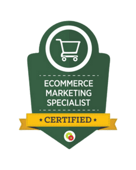 "Specialist managing e-commerce marketing campaigns"