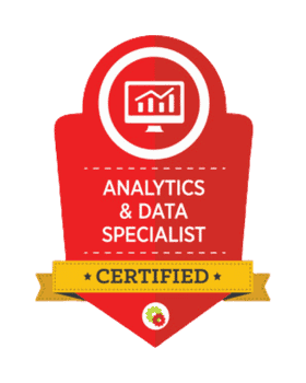 "Analytics and data professional in action"