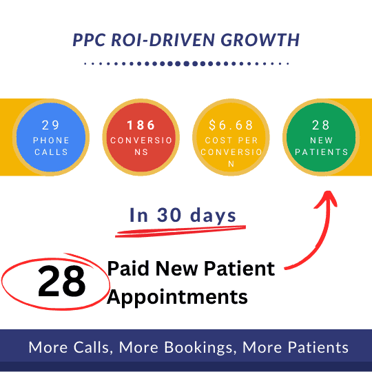"Maximizing growth with ROI-driven PPC"